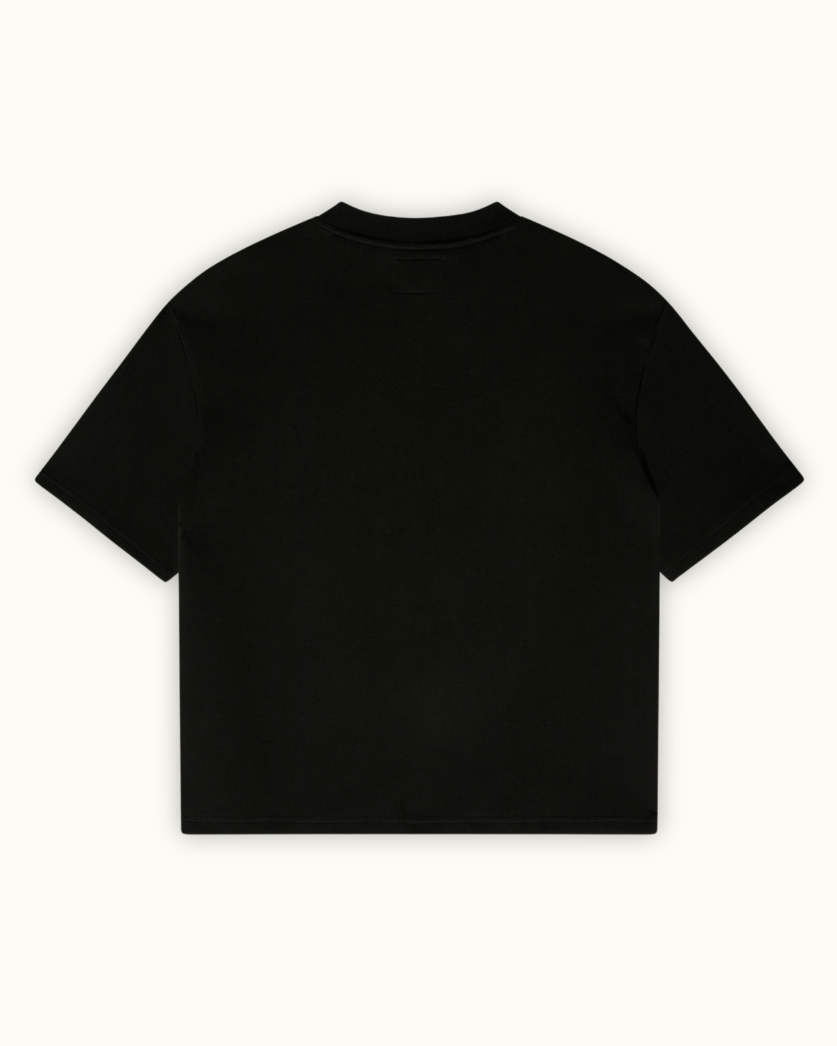 Pioneer T-Shirt